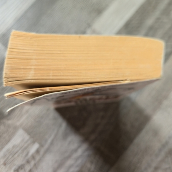 LEN DEIGHTON SPY SINKER Paperback - Hook, Line & Sinker Series - Book 3 - Picture 5 of 8